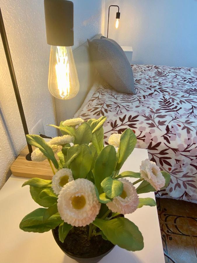 A Separate Room Comfort In A Two-Room Apartment Is 28 Km From Valencia With Wi-Fi Puerto de Sagunto Luaran gambar